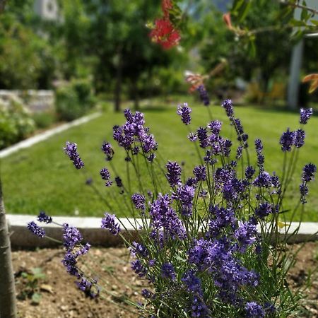 Apartments Grgurevic Котор Екстериор снимка