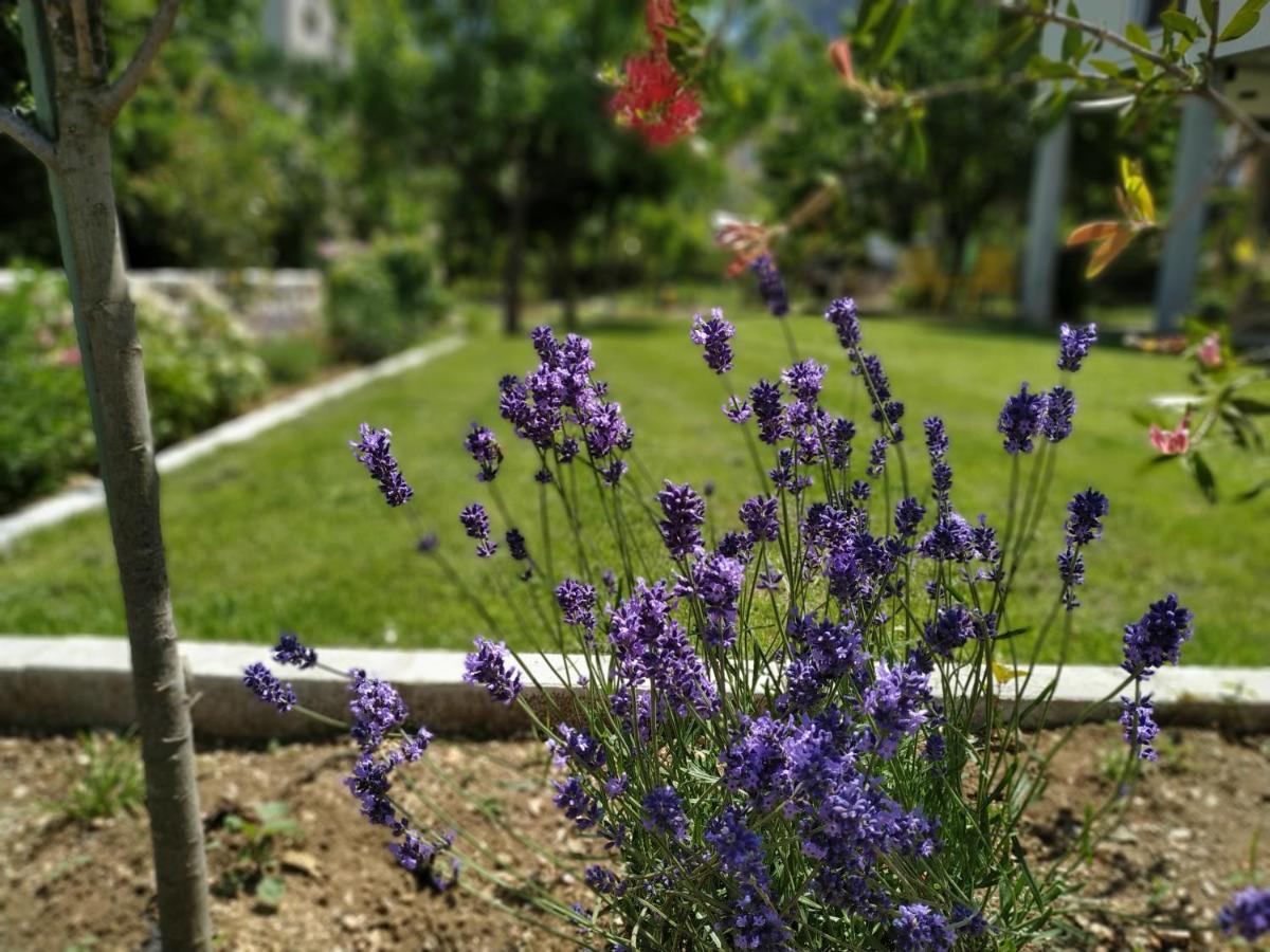 Apartments Grgurevic Котор Екстериор снимка